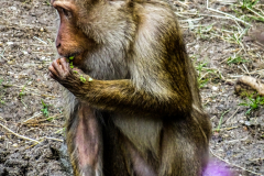 DSC01011