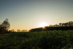 IMG_0808_b