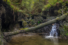 Unbenanntes_Panorama1_C