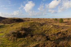 Unbenanntes_Panorama1